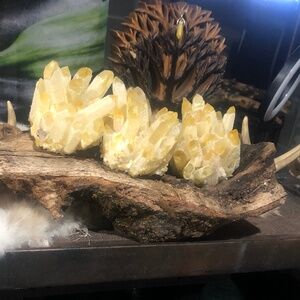 Citrine Crystal Cluster bundle